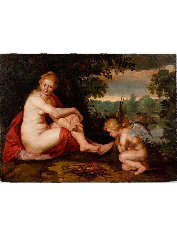 Venus Frigida